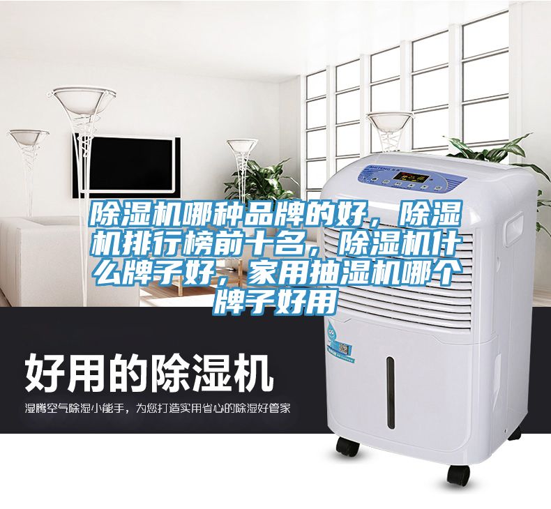 除濕機(jī)哪種品牌的好，除濕機(jī)排行榜前十名，除濕機(jī)什么牌子好，家用抽濕機(jī)哪個(gè)牌子好用