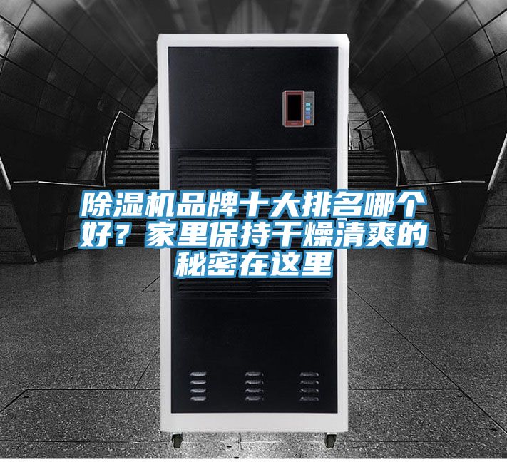 除濕機品牌十大排名哪個好？家里保持干燥清爽的秘密在這里