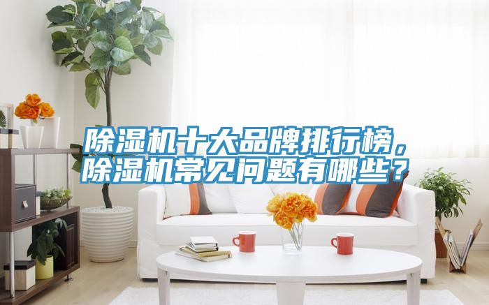 除濕機十大品牌排行榜，除濕機常見問題有哪些？