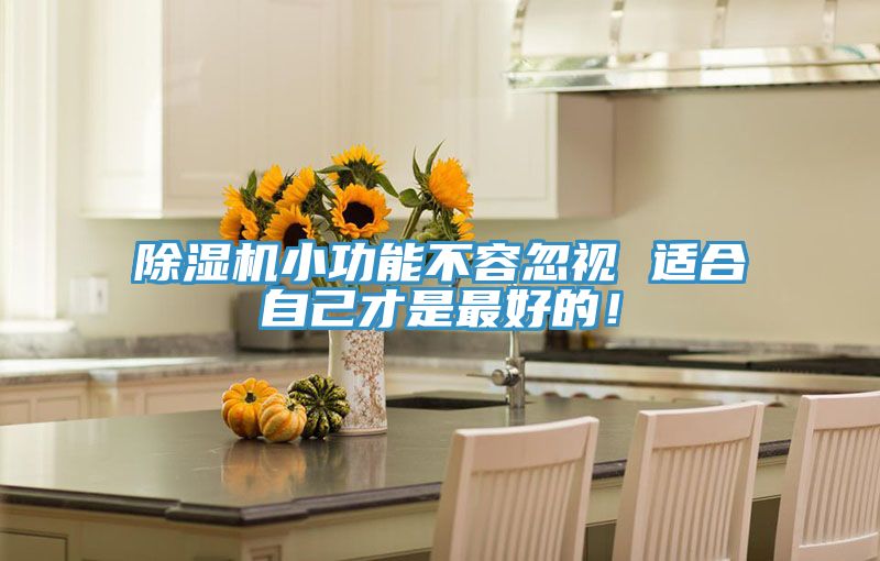 除濕機小功能不容忽視 適合自己才是最好的！