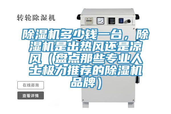 除濕機多少錢一臺，除濕機是出熱風還是涼風（盤點那些專業(yè)人士極力推薦的除濕機品牌）