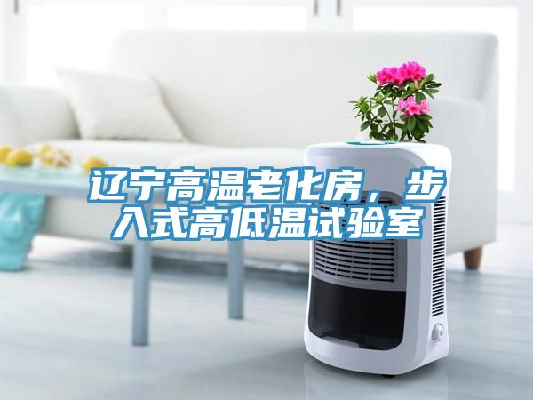 遼寧高溫老化房，步入式高低溫試驗室