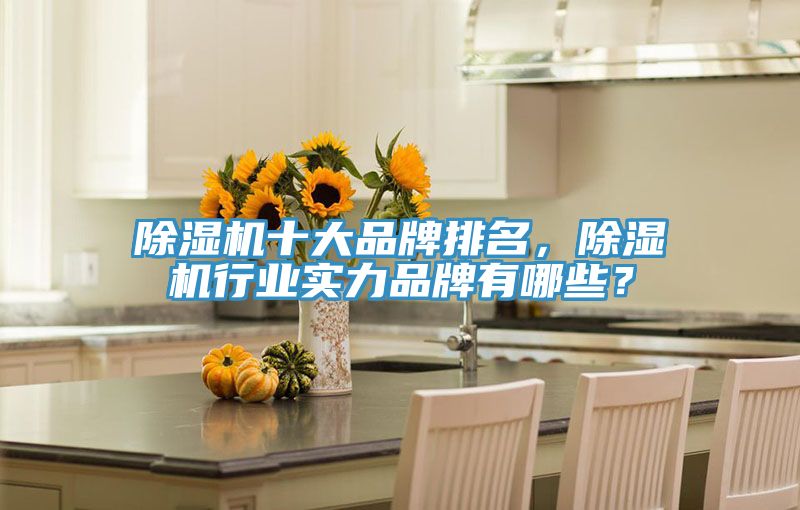 除濕機十大品牌排名，除濕機行業(yè)實力品牌有哪些？