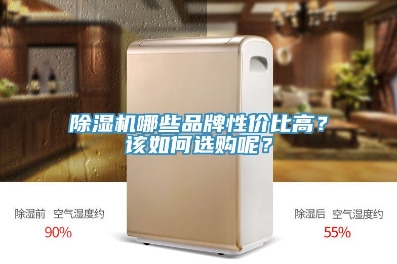 除濕機(jī)哪些品牌性價(jià)比高？該如何選購(gòu)呢？
