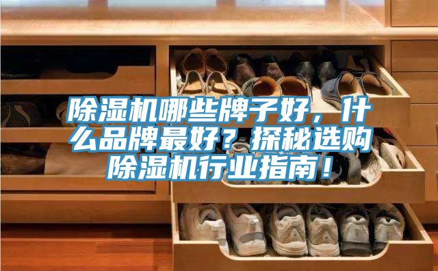 除濕機(jī)哪些牌子好，什么品牌最好？探秘選購(gòu)除濕機(jī)行業(yè)指南！