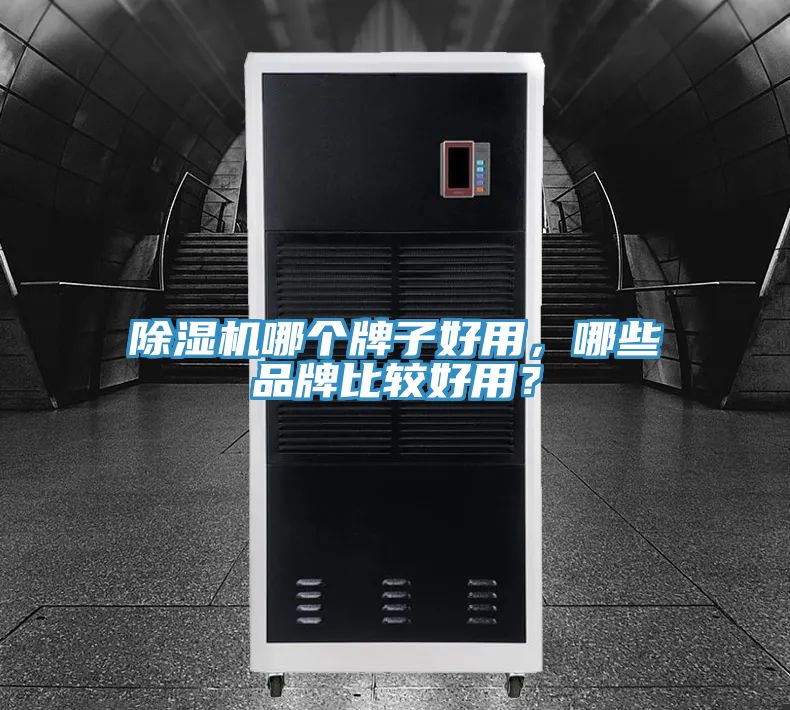 除濕機哪個牌子好用，哪些品牌比較好用？