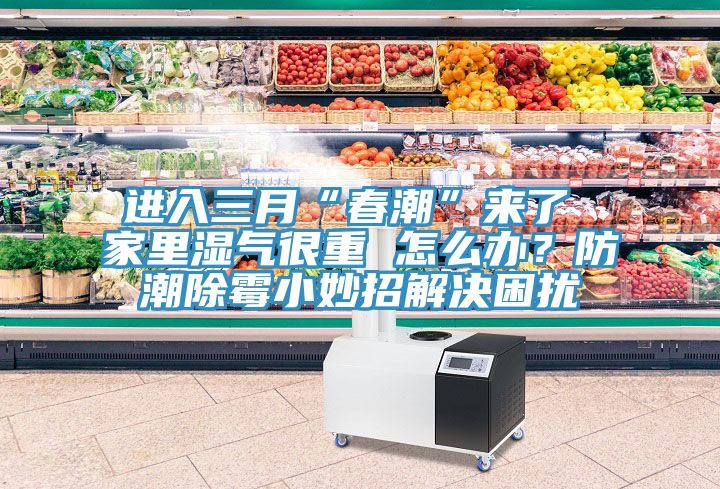 進(jìn)入三月“春潮”來(lái)了 家里濕氣很重 怎么辦？防潮除霉小妙招解決困擾