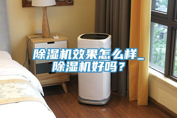 除濕機(jī)效果怎么樣_除濕機(jī)好嗎？