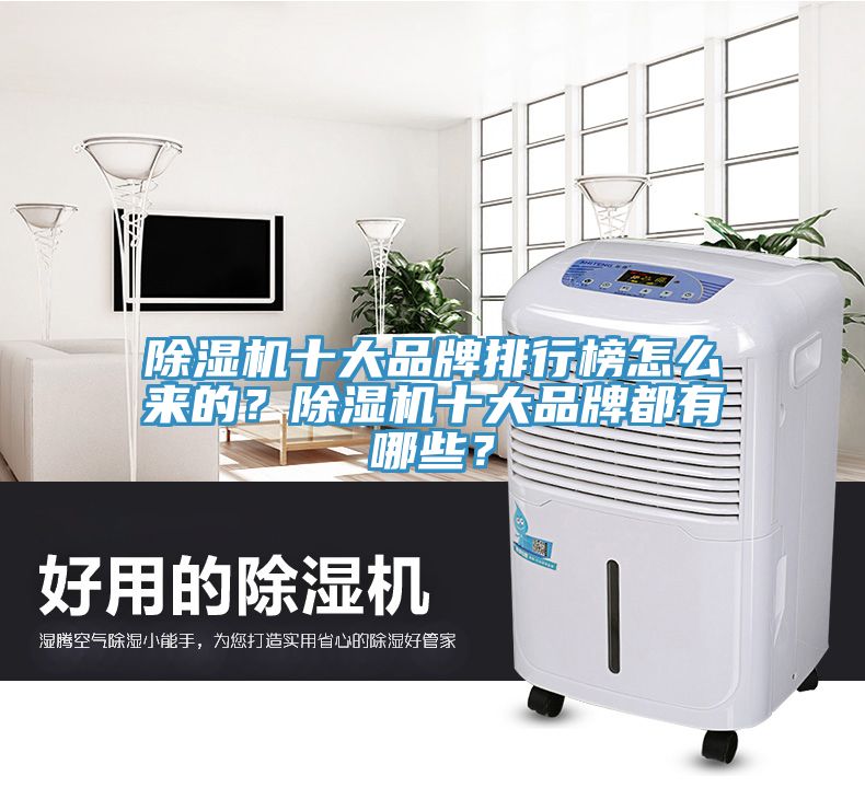 除濕機十大品牌排行榜怎么來的？除濕機十大品牌都有哪些？
