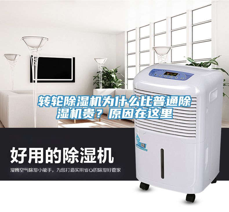 轉(zhuǎn)輪除濕機為什么比普通除濕機貴？原因在這里