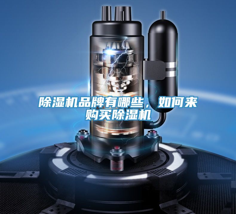 除濕機(jī)品牌有哪些，如何來(lái)購(gòu)買(mǎi)除濕機(jī)