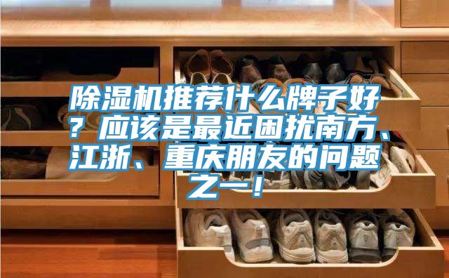 除濕機推薦什么牌子好？應該是最近困擾南方、江浙、重慶朋友的問題之一！