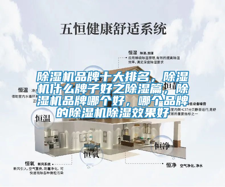 除濕機(jī)品牌十大排名，除濕機(jī)什么牌子好之除濕篇，除濕機(jī)品牌哪個(gè)好，哪個(gè)品牌的除濕機(jī)除濕效果好