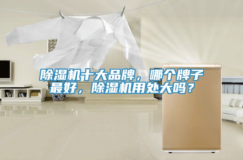 除濕機十大品牌，哪個牌子最好，除濕機用處大嗎？