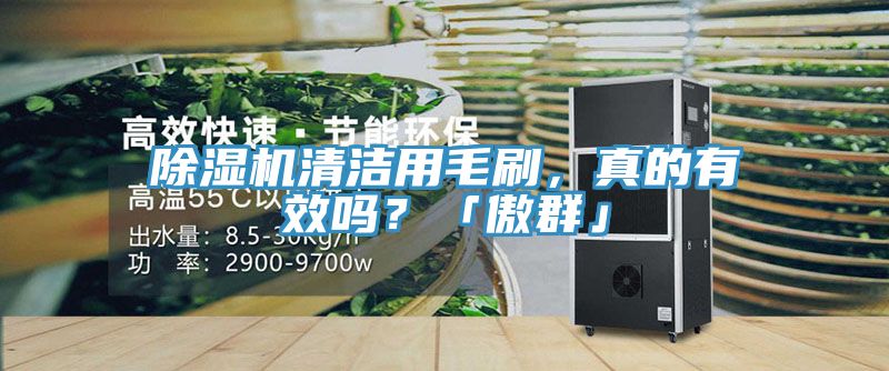 除濕機(jī)清潔用毛刷，真的有效嗎？「傲群」