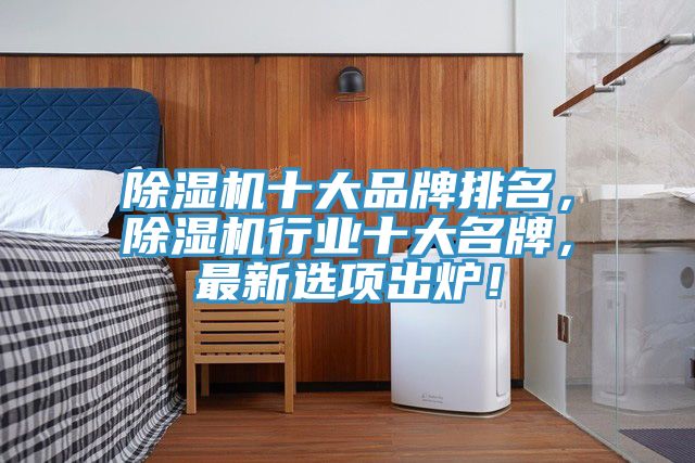 除濕機十大品牌排名，除濕機行業(yè)十大名牌，最新選項出爐！