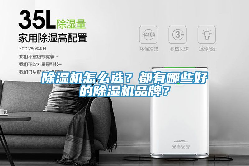 除濕機(jī)怎么選？都有哪些好的除濕機(jī)品牌？