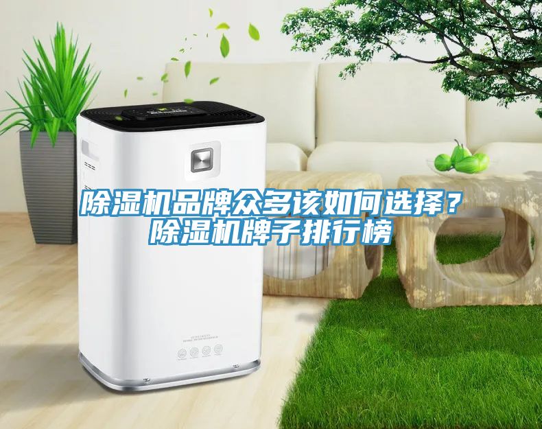 除濕機(jī)品牌眾多該如何選擇？除濕機(jī)牌子排行榜