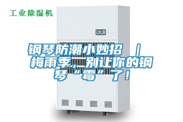 鋼琴防潮小妙招 ｜ 梅雨季，別讓你的鋼琴“霉”了！