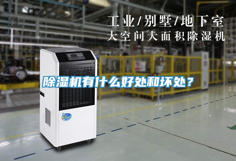 除濕機(jī)有什么好處和壞處？