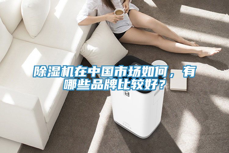 除濕機(jī)在中國(guó)市場(chǎng)如何，有哪些品牌比較好？