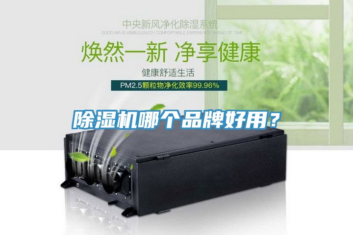 除濕機(jī)哪個(gè)品牌好用？