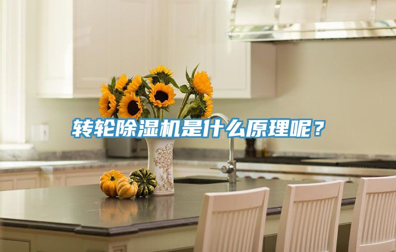 轉(zhuǎn)輪除濕機(jī)是什么原理呢？