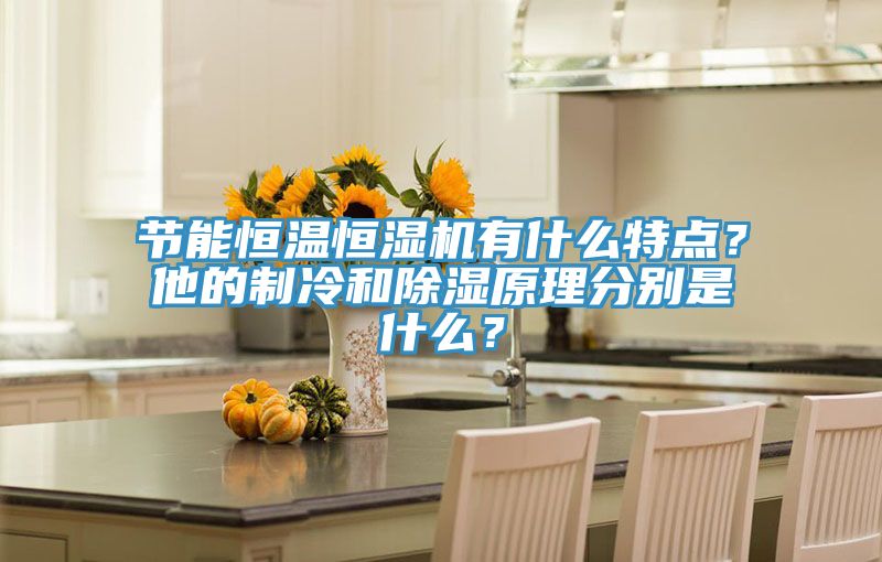 節(jié)能恒溫恒濕機(jī)有什么特點(diǎn)？他的制冷和除濕原理分別是什么？