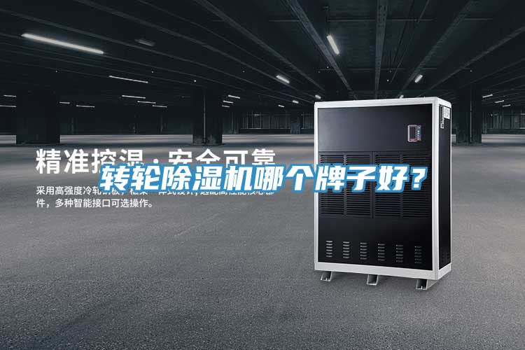 轉(zhuǎn)輪除濕機(jī)哪個牌子好？