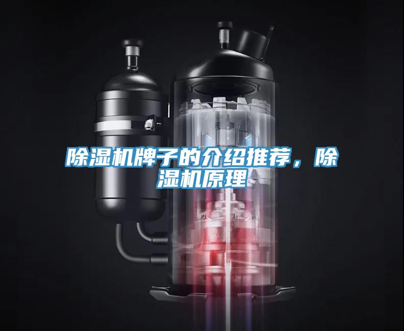 除濕機牌子的介紹推薦，除濕機原理