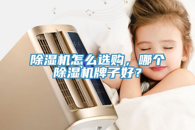 除濕機怎么選購，哪個除濕機牌子好？
