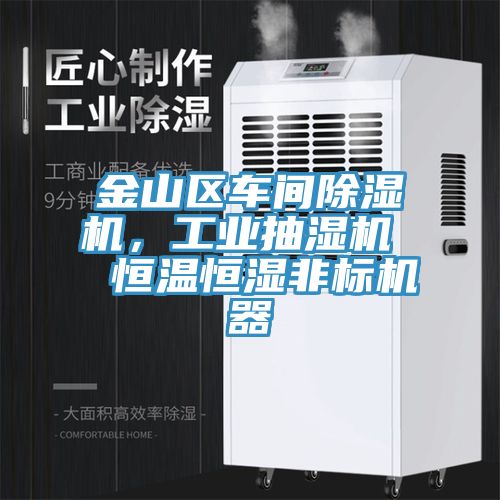 金山區(qū)車間除濕機，工業(yè)抽濕機  恒溫恒濕非標(biāo)機器