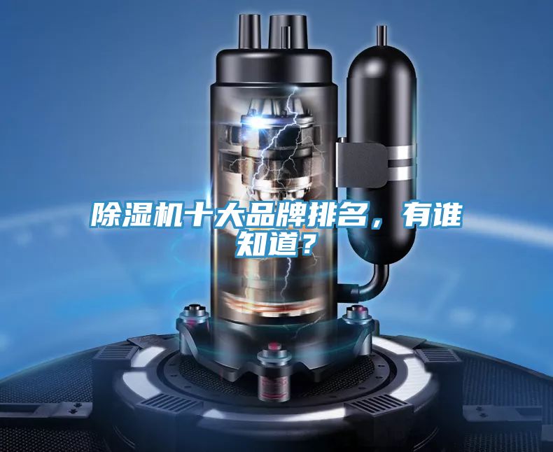 除濕機十大品牌排名，有誰知道？