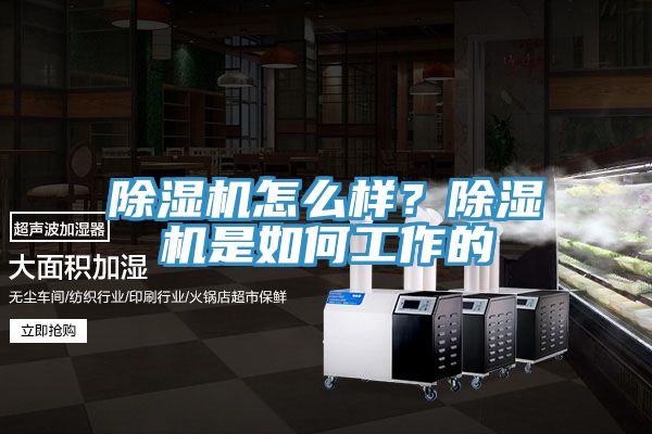 除濕機(jī)怎么樣？除濕機(jī)是如何工作的