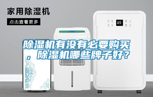 除濕機有沒有必要購買，除濕機哪些牌子好？