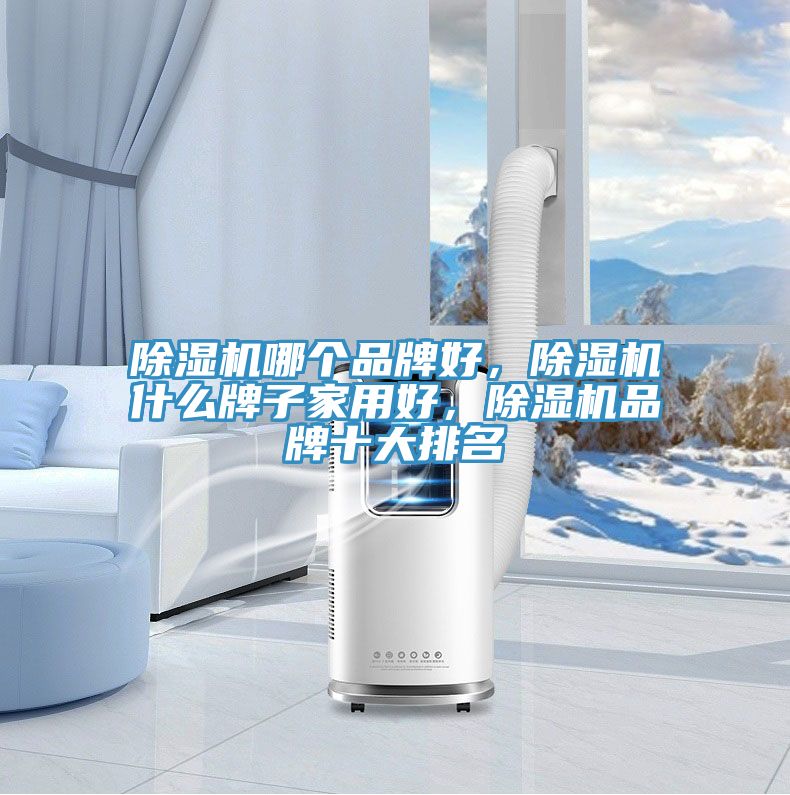 除濕機(jī)哪個(gè)品牌好，除濕機(jī)什么牌子家用好，除濕機(jī)品牌十大排名