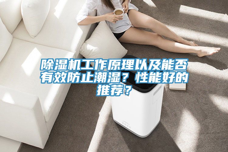 除濕機(jī)工作原理以及能否有效防止潮濕？性能好的推薦？