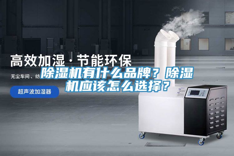 除濕機有什么品牌？除濕機應(yīng)該怎么選擇？