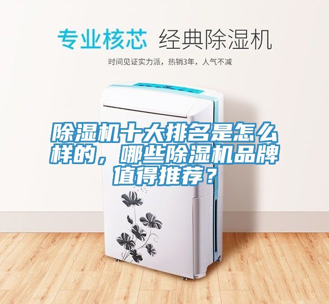除濕機十大排名是怎么樣的，哪些除濕機品牌值得推薦？