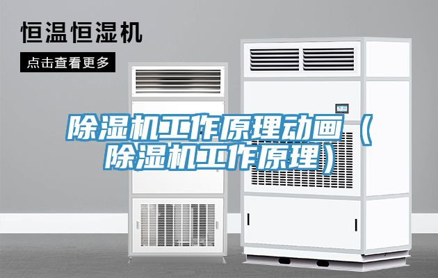 除濕機(jī)工作原理動畫（除濕機(jī)工作原理）