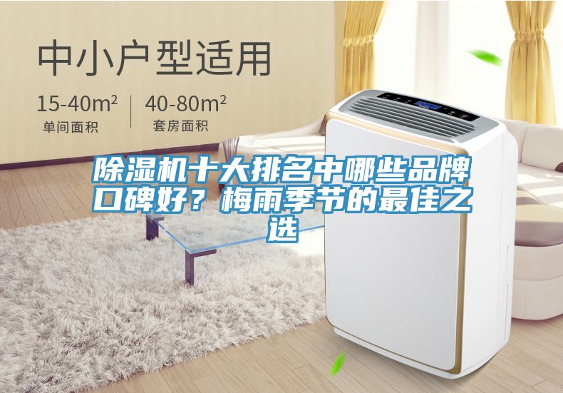 除濕機十大排名中哪些品牌口碑好？梅雨季節(jié)的最佳之選