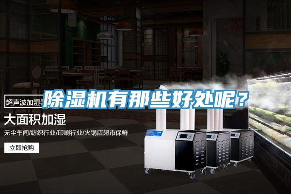 除濕機有那些好處呢？