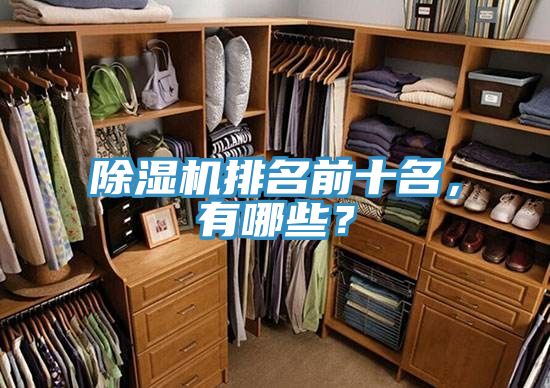 除濕機(jī)排名前十名，有哪些？