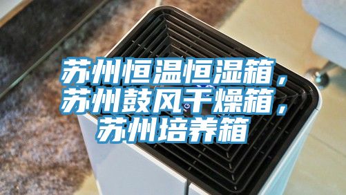 蘇州恒溫恒濕箱，蘇州鼓風(fēng)干燥箱，蘇州培養(yǎng)箱