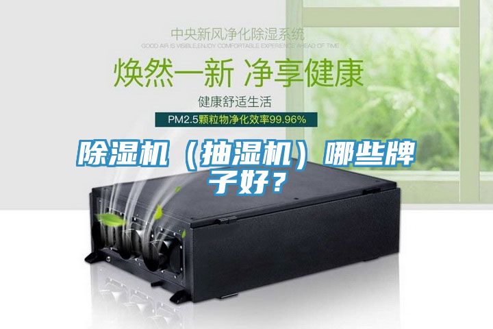 除濕機（抽濕機）哪些牌子好？