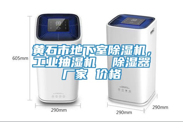 黃石市地下室除濕機(jī)，工業(yè)抽濕機(jī)  除濕器廠家 價(jià)格