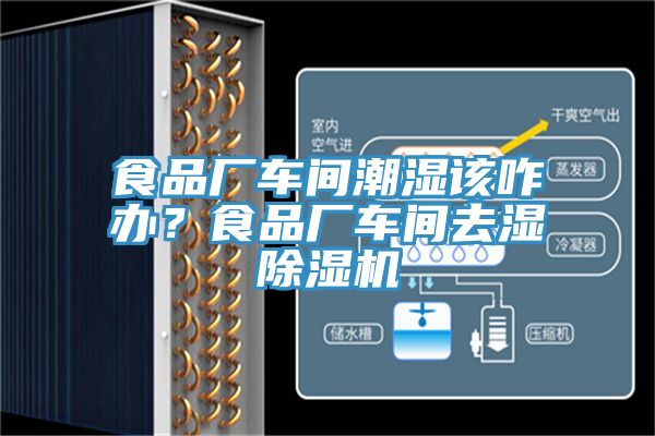 食品廠車間潮濕該咋辦？食品廠車間去濕除濕機(jī)