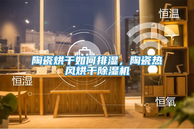 陶瓷烘干如何排濕，陶瓷熱風(fēng)烘干除濕機