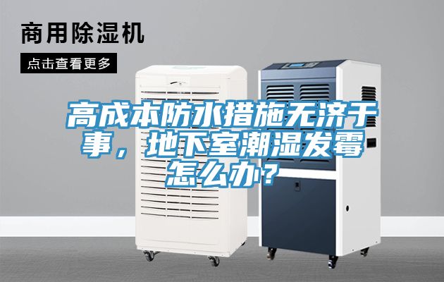 高成本防水措施無(wú)濟(jì)于事，地下室潮濕發(fā)霉怎么辦？