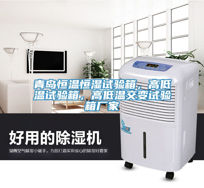青島恒溫恒濕試驗箱，高低溫試驗箱，高低溫交變試驗箱廠家